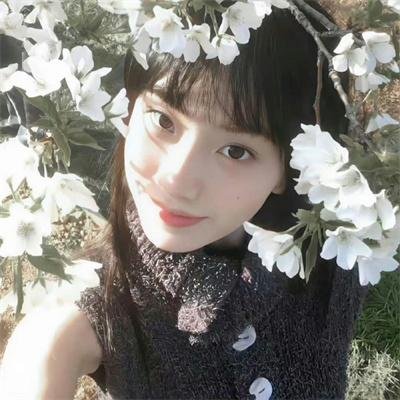 荒野 第二季
